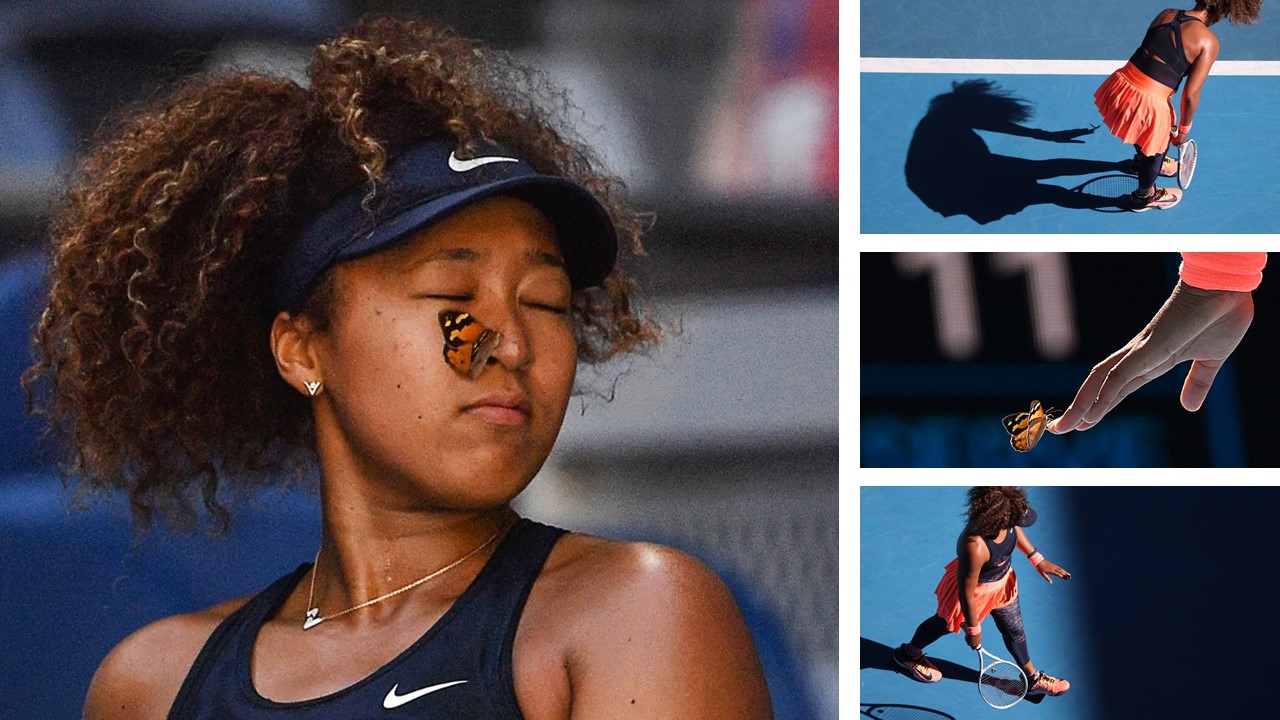 Watch how Naomi Osaka delicately frees a butterfly mid-match