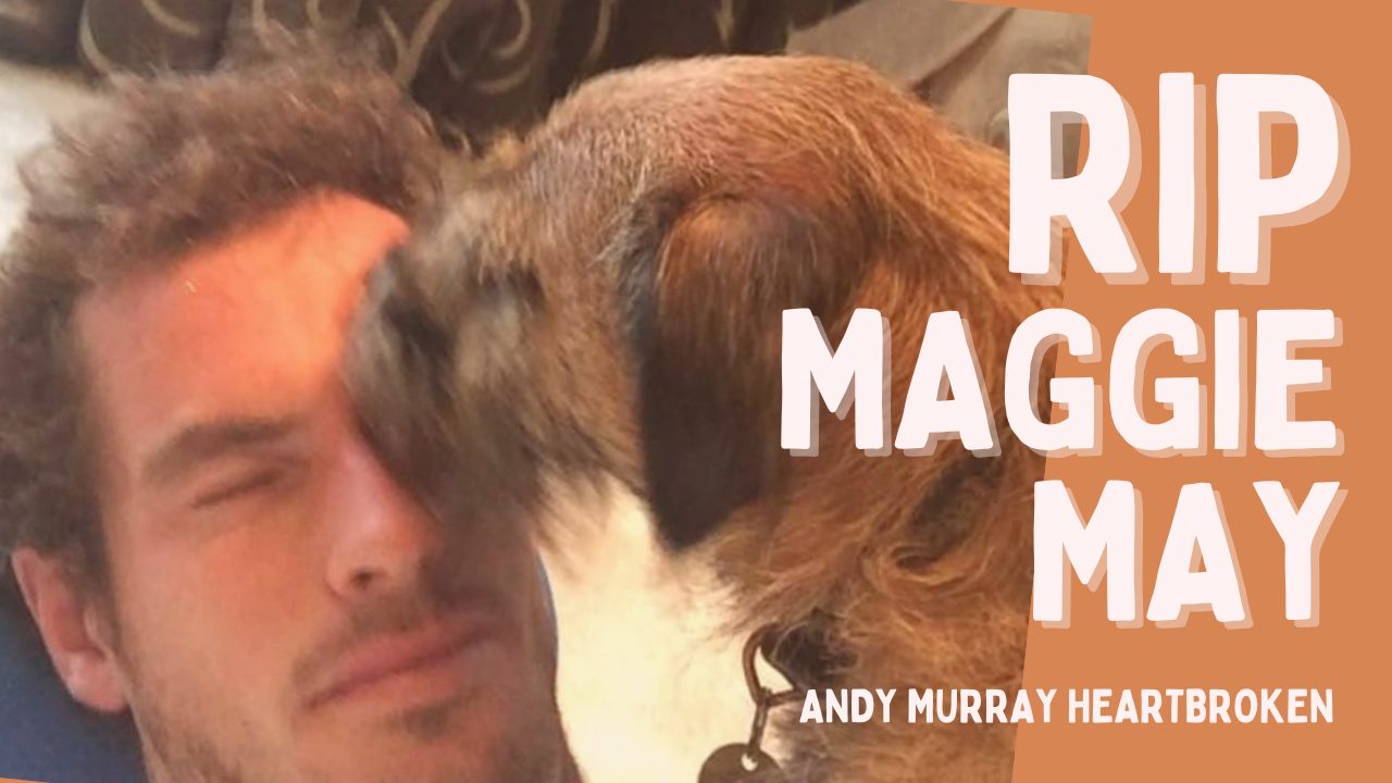 Andy Murray bids farewell to his beloved pet